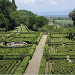Garden ideas for Florida
