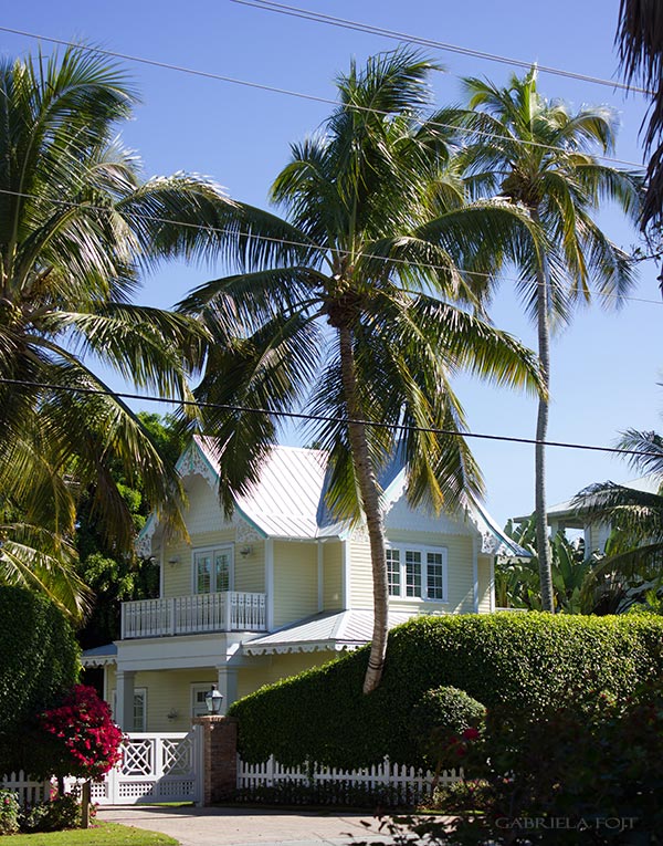 Landscape architecture and garden design in Fort Lauderdale, Miami, Boca Raton, Palm Beach