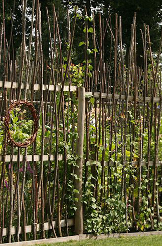 Florida landscaping ideas