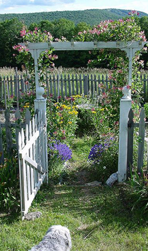 Florida landscaping ideas