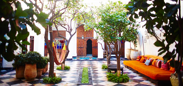 Garden and landscape design ideas for South Florida